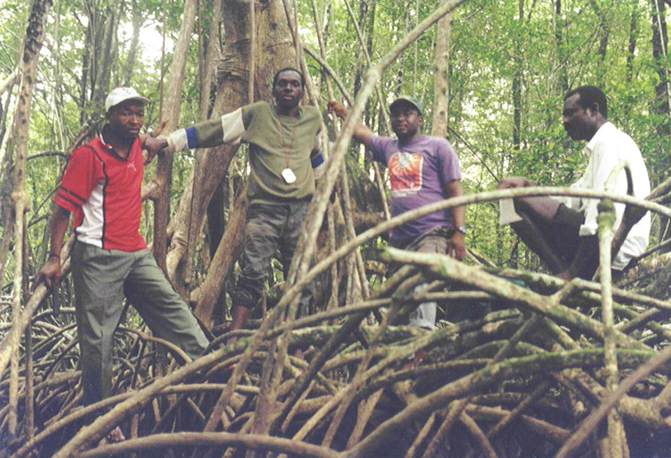 Mangrove inventory1